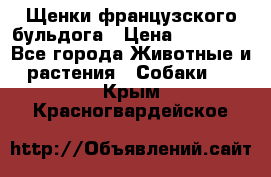 Щенки французского бульдога › Цена ­ 30 000 - Все города Животные и растения » Собаки   . Крым,Красногвардейское